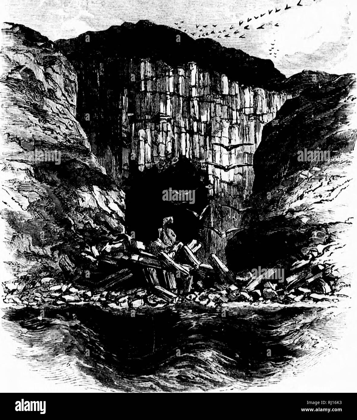 . The polar and tropical worlds [microform] : a description of man and ...