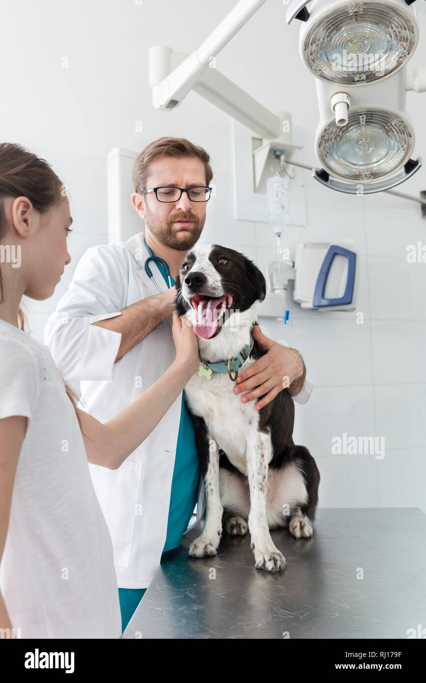 Girl and veterinary doctor looking at dog on table in clinic Stock Photo - Alamy Girl and veterinary doctor looking at dog on table in clinic Stock Photo - Alamy