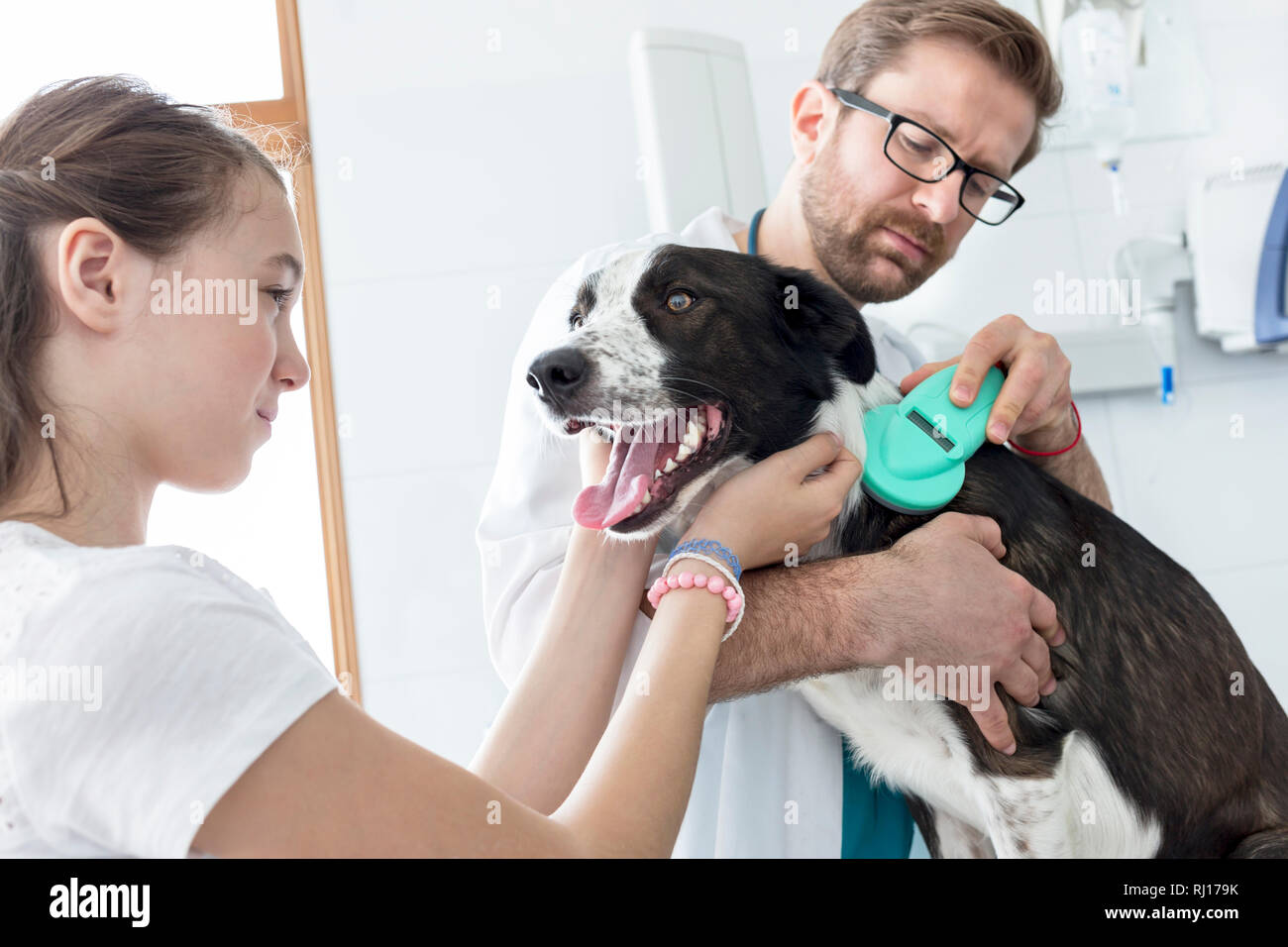 Girl looking while doctor using equipment on dog at veterinary clinic Stock Photo
