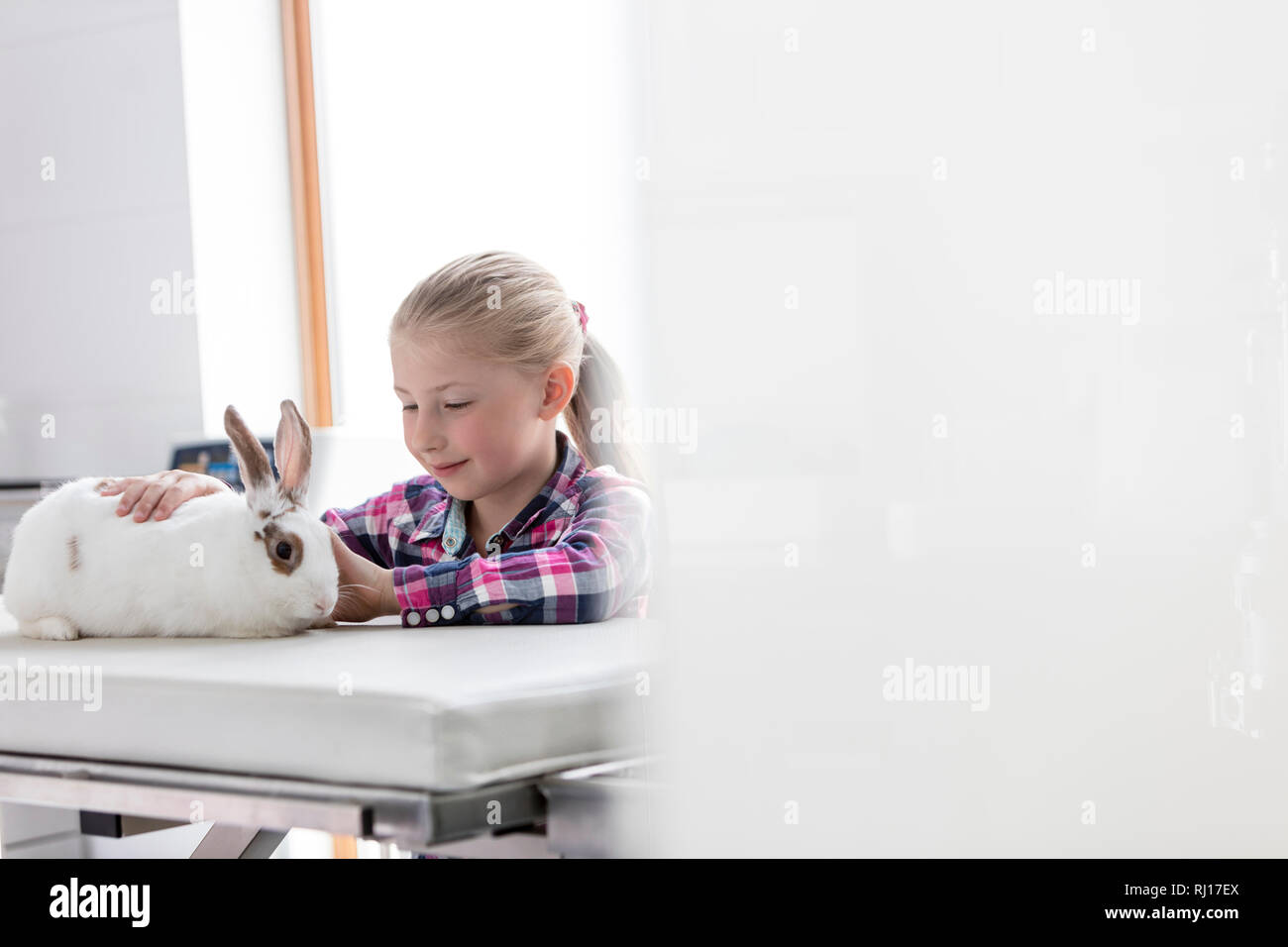 Cute girl looking at rabbit on bed at veterinary clinic Stock Photo