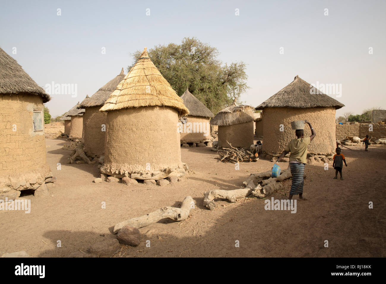 Samba village, Yako Province, Burkina Faso: Village daily life beside Collette Guiguemde's compound. Stock Photo