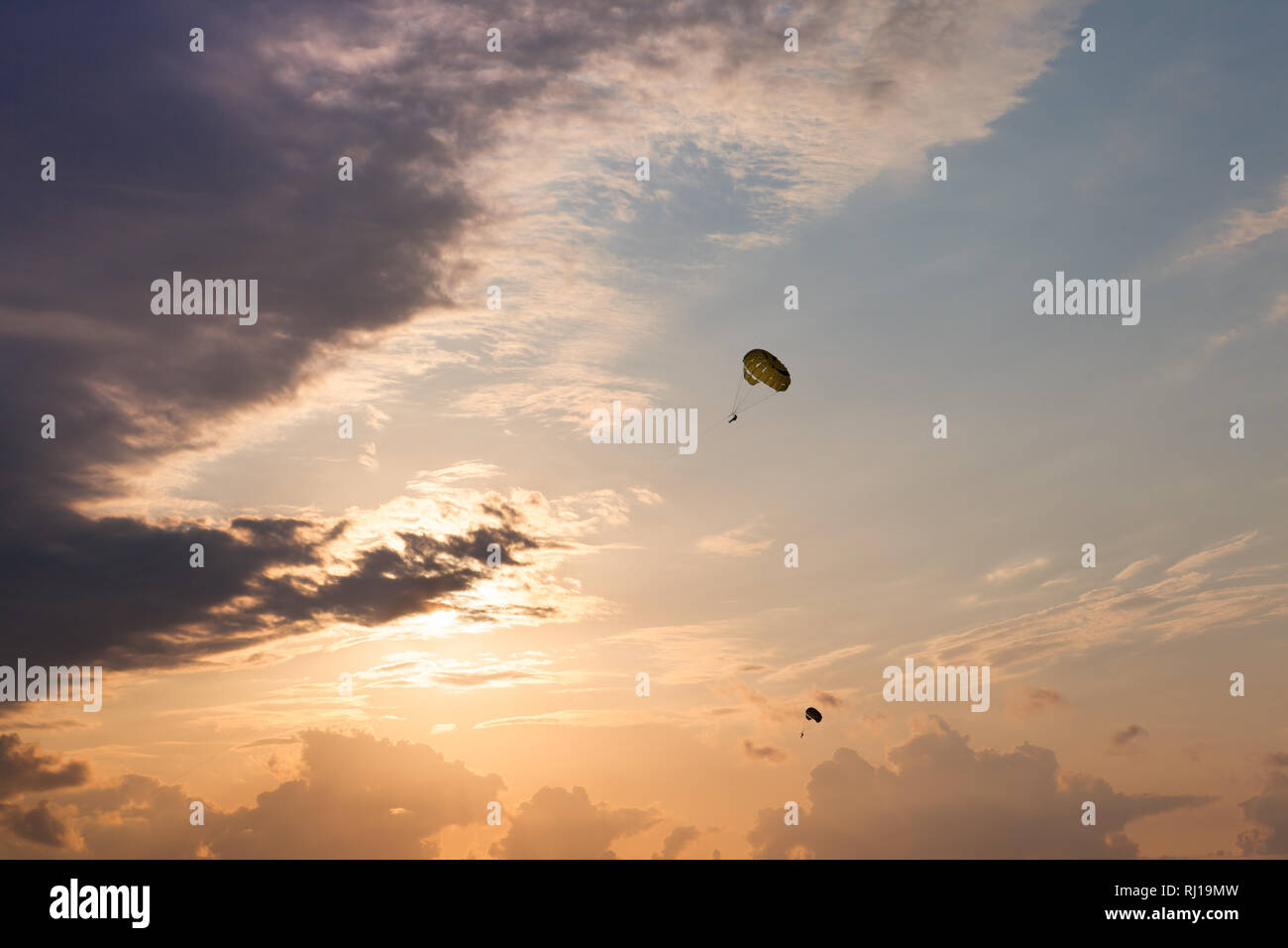 Dark silhouettes of flying parachutes on the sunset cloudy night sky Stock Photo