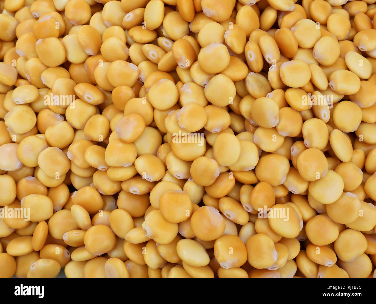 Lupin allergy hires stock photography and images Alamy