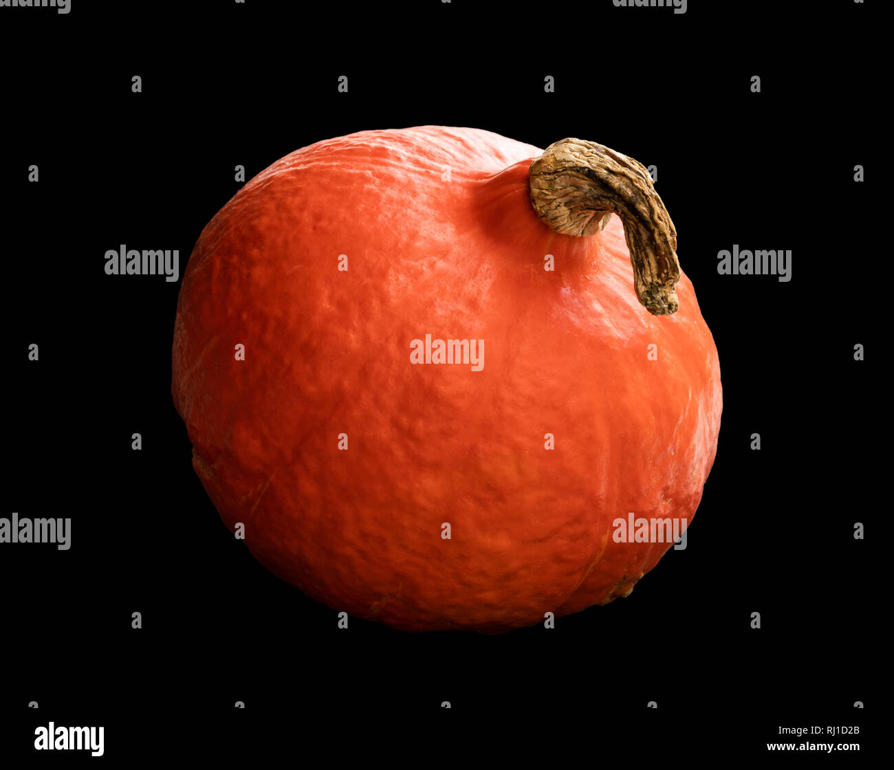 Small  pumpkin on black background Stock Photo