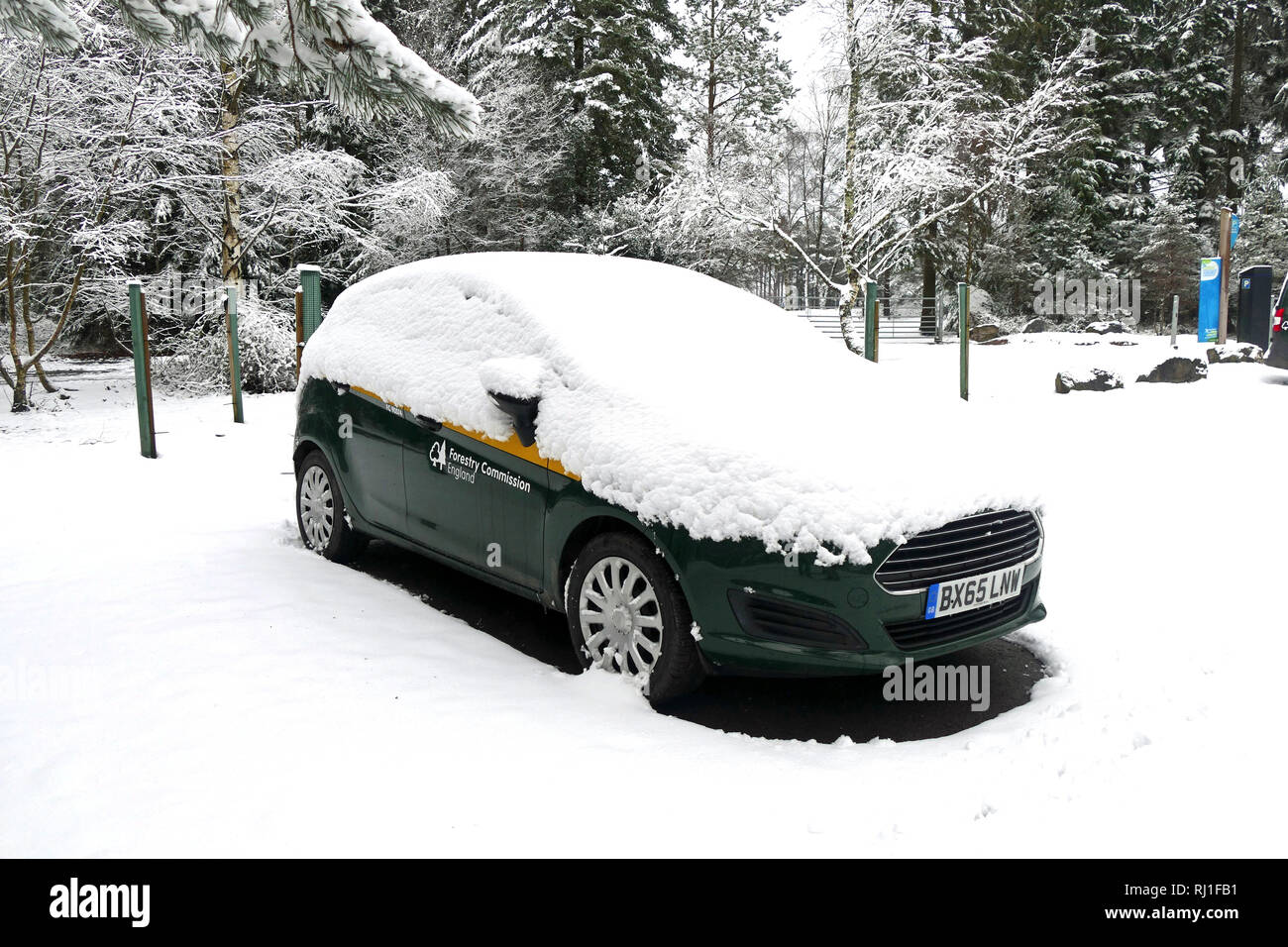 car covered in snow Stock Photo Alamy