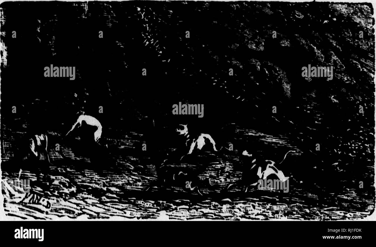 5300 Foto Foto Hunting Romantis HD Terbaik