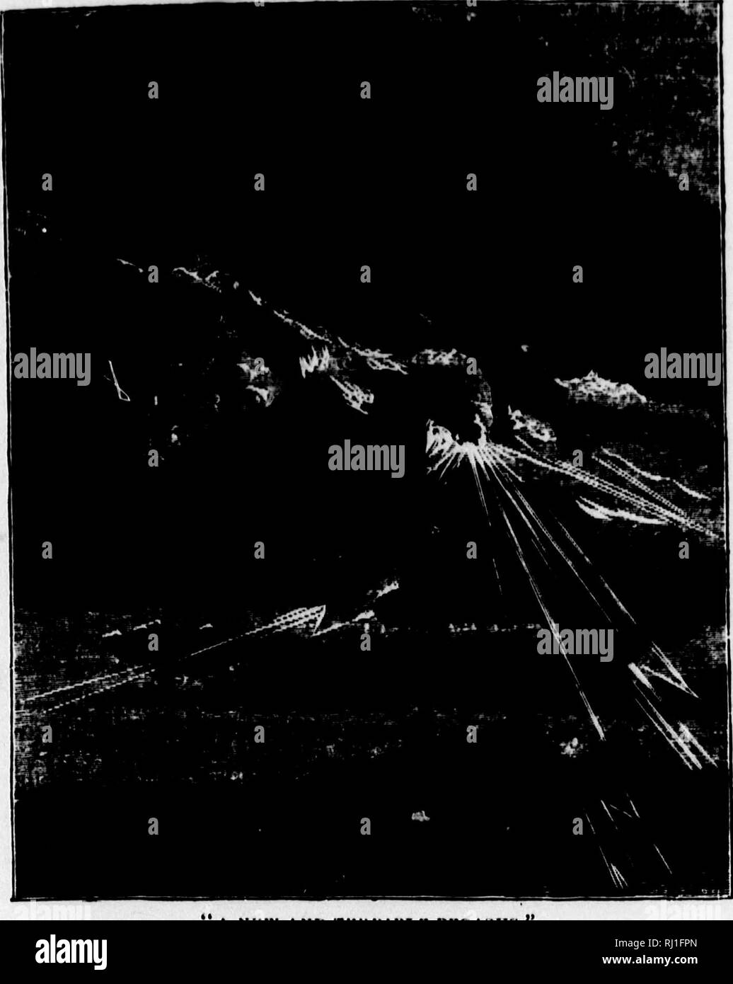 5300 Foto Foto Hunting Romantis HD Terbaik