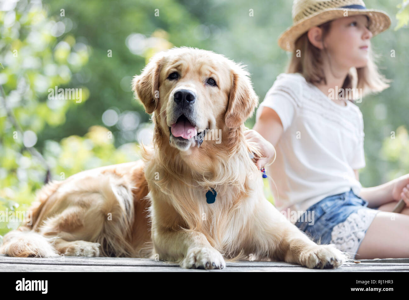Girl and Golden retriever dog sitting on pier Stock Photo - Alamy