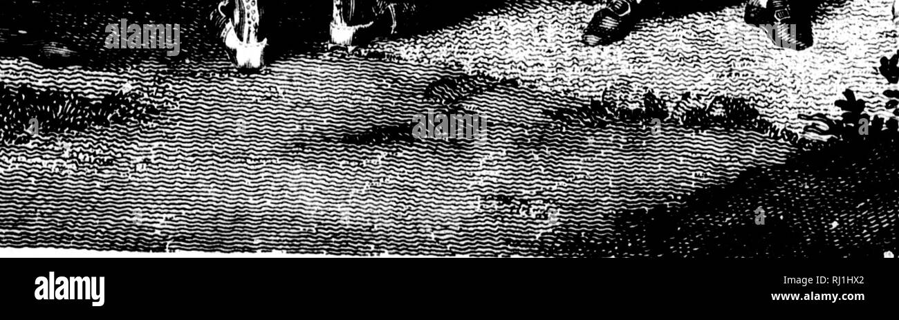 Booksubjectscientificexpediti Stock Photos - 