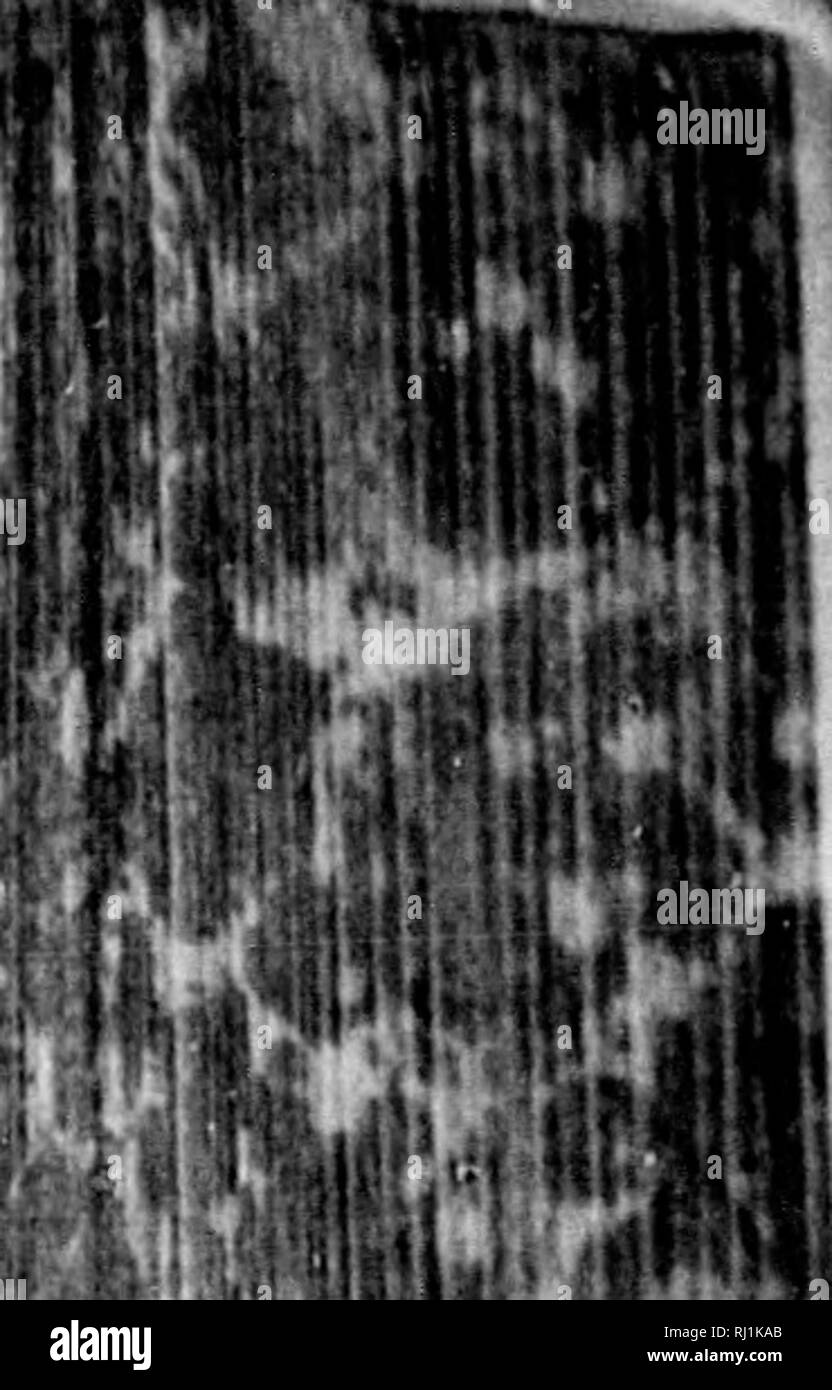 . Earth, sea and sky, or, Marvels of the universe [microform] : being a ...