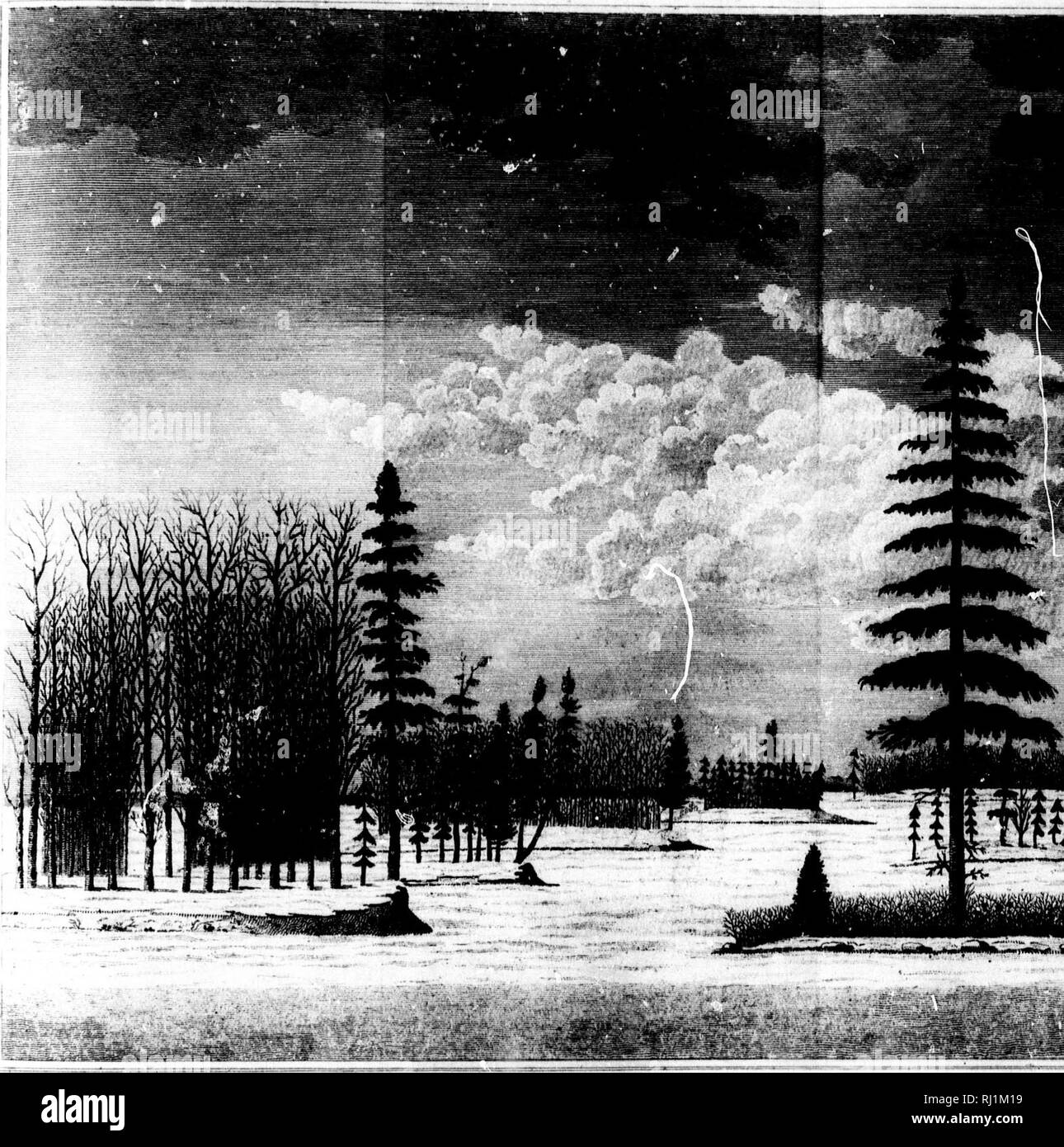 . A journey from Prince of Wales's Fort, in Hudson's Bay, to the northern ocean [microform] : undertaken by order of the Hudson's Bay Company for the discovery of copper mines, a north west passage, &amp;c. in the years 1769, 1770, 1771 &amp; 1772. Indians of North America; Natural history; Indiens; Sciences naturelles. â A PtaJt ir. ATTrSTFM YIEW jn thi- ATlIAIl'ITSroW LAKE,bv.51^  '. ttJini PtiNuhi'ii Ja/i:*'I f I .'Q.i.ti-1'tuAiU i' /hvif.f, J'inim/.. Please note that these images are extracted from scanned page images that may have been digitally enhanced for readability - coloration and  Stock Photo