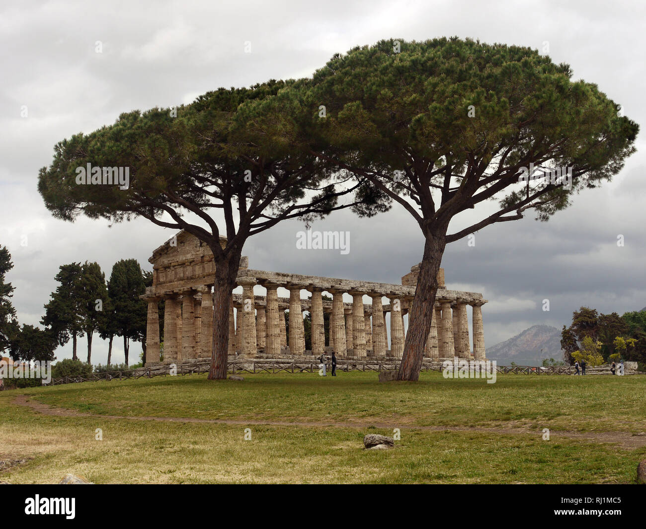 Temple of Athena Paestum, Solerno, Italy Stock Photo