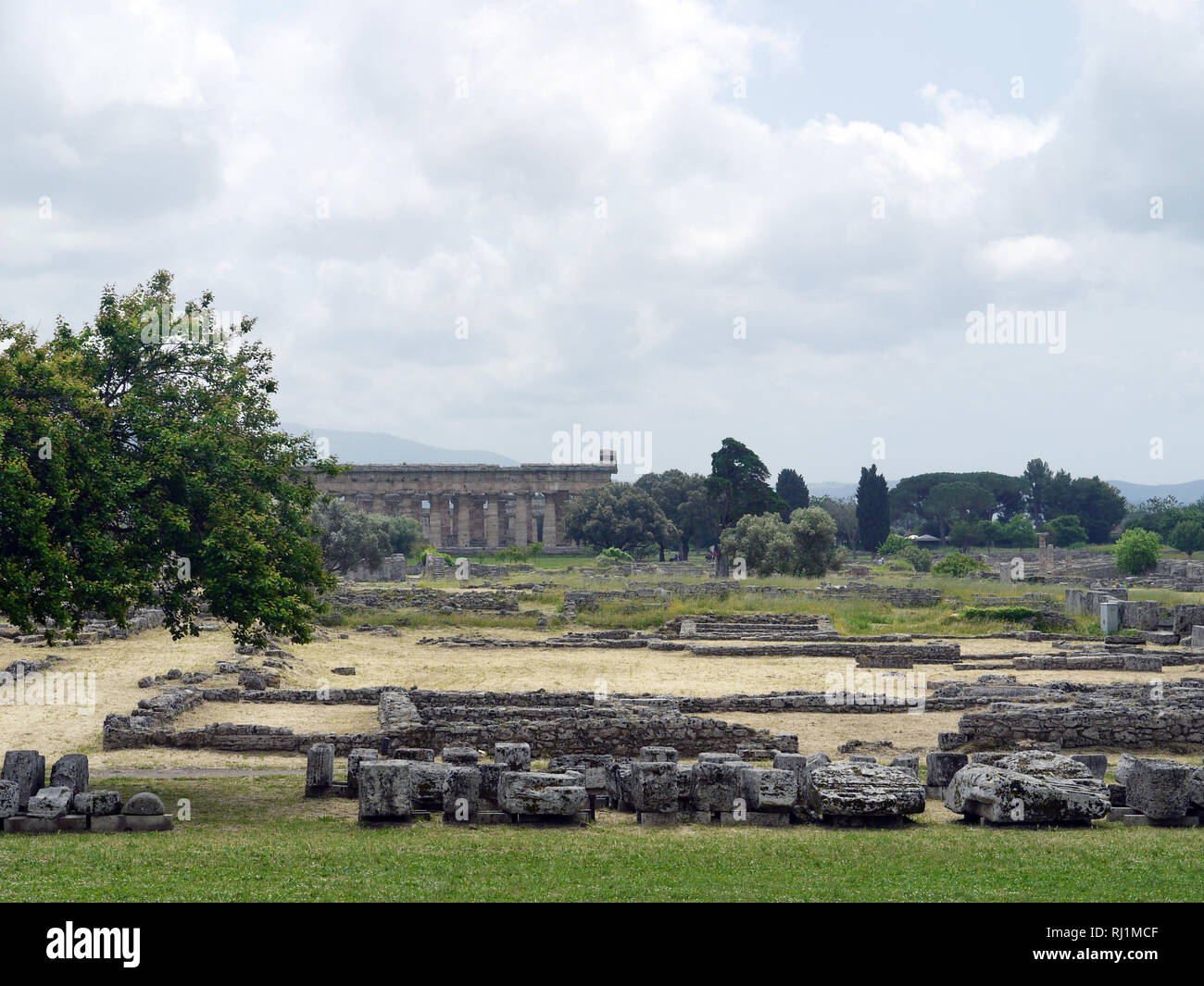 Temple of Hera, at Paestum, Italy, long view from the Temple of Athena on the other end of the site Stock Photo