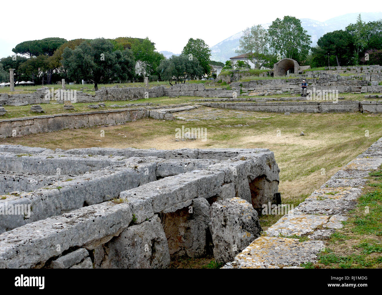 The public pool at the ancient Greek archaeological ruins of Paestum in Southern Italy. Stock Photo