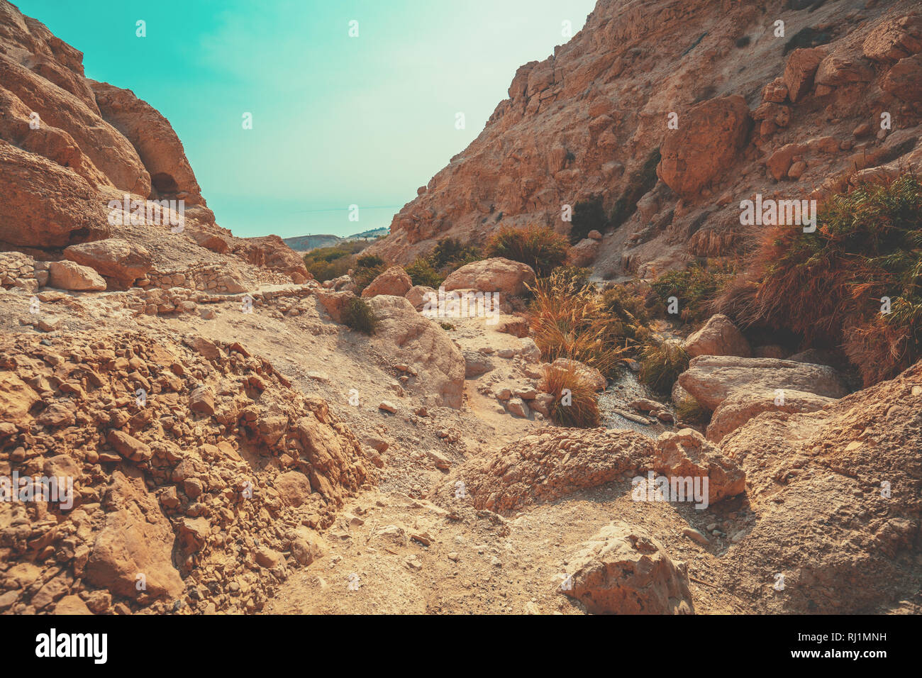 Hiking path in the nature reserve Ein Gedi. Israel. Oasis in the desert Stock Photo