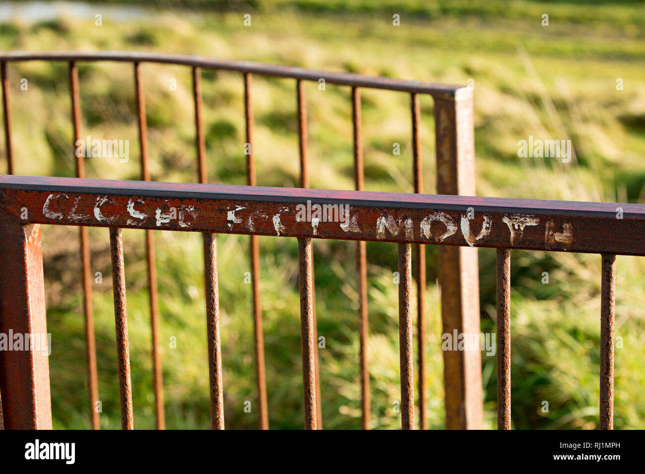 Old paint still visible on a gate saying ‘closed foot & mouth’ that refers to the foot and mouth outbreak in the UK in 2001. Over six million farm ani Stock Photo