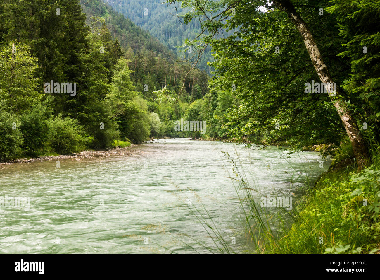 The river Saalach Stock Photo