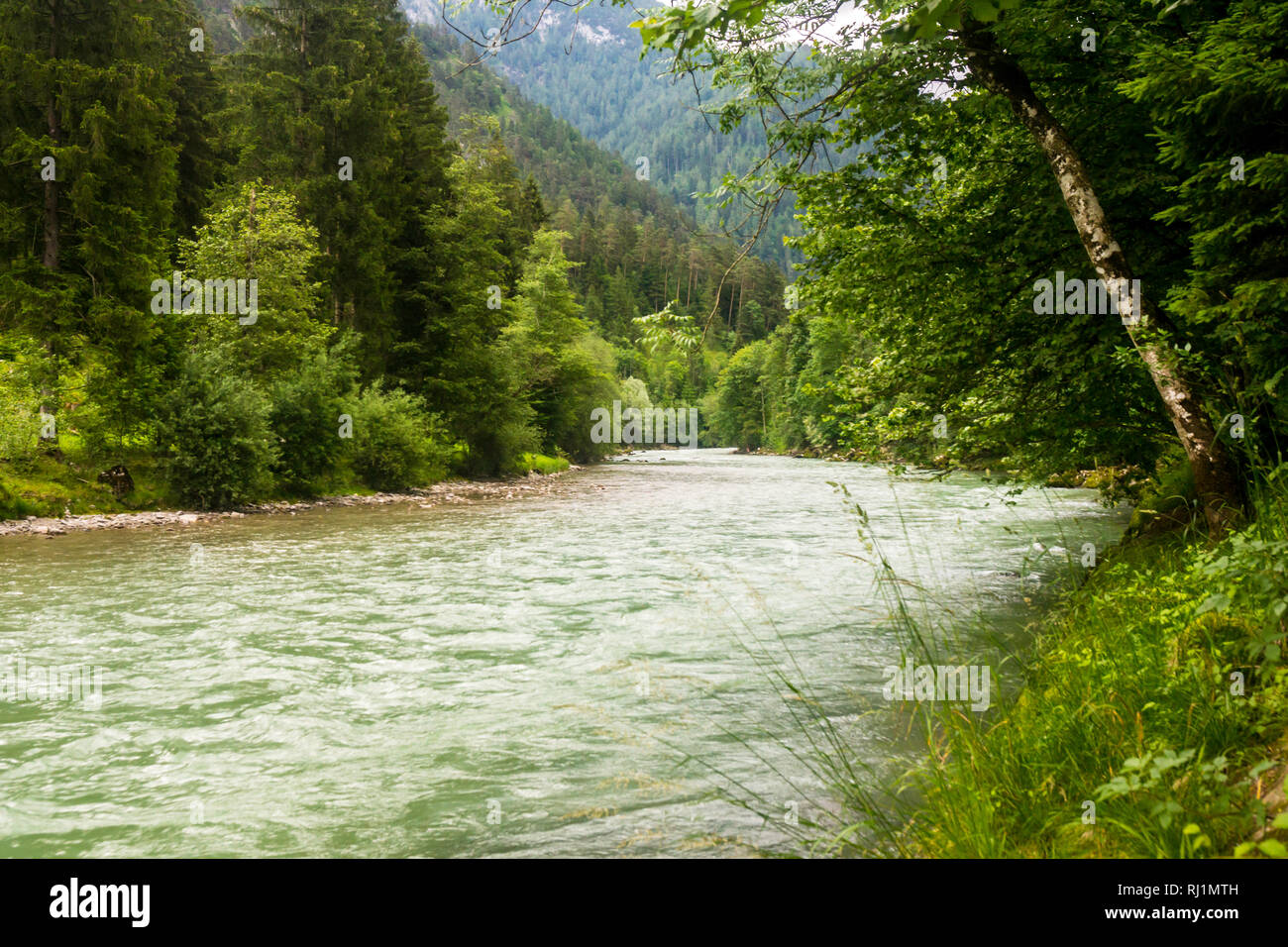 The river Saalach Stock Photo