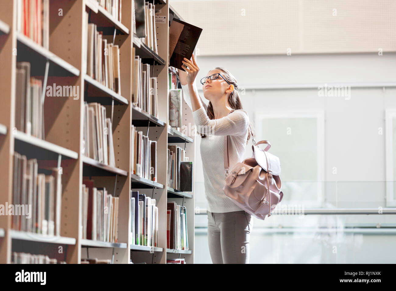 Student choosing book at university library Stock Photo