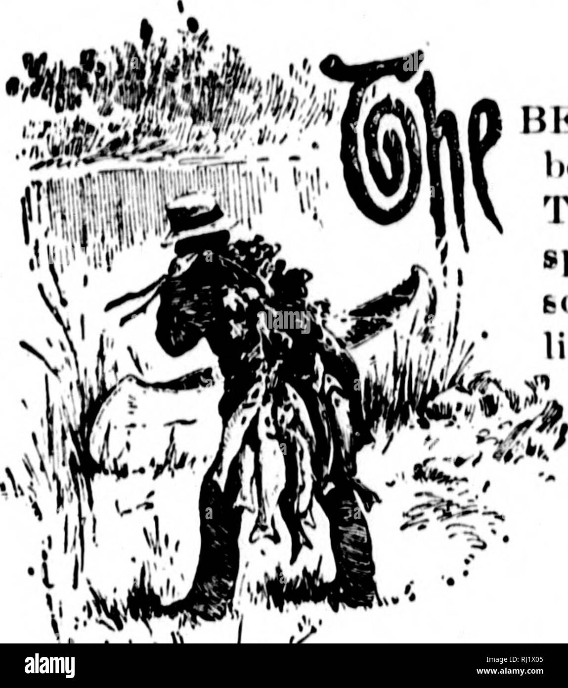 . Fishing and shooting along the lines of the Canadian Pacific Railway in the provinces of Ontario, Quebec, British Columbia, the prairies and mountains of western Canada, the Maritime Provinces, the state of Maine, and in Newfoundland [microform]. Fishing; Hunting; Pêche sportive; Chasse. 7 9 12 14 14 15 17 20 23 24 25 31 35 43 45 01 62 72 73 34 54. lii^^-. Please note that these images are extracted from scanned page images that may have been digitally enhanced for readability - coloration and appearance of these illustrations may not perfectly resemble the original work.. Canadian Pacific R Stock Photo