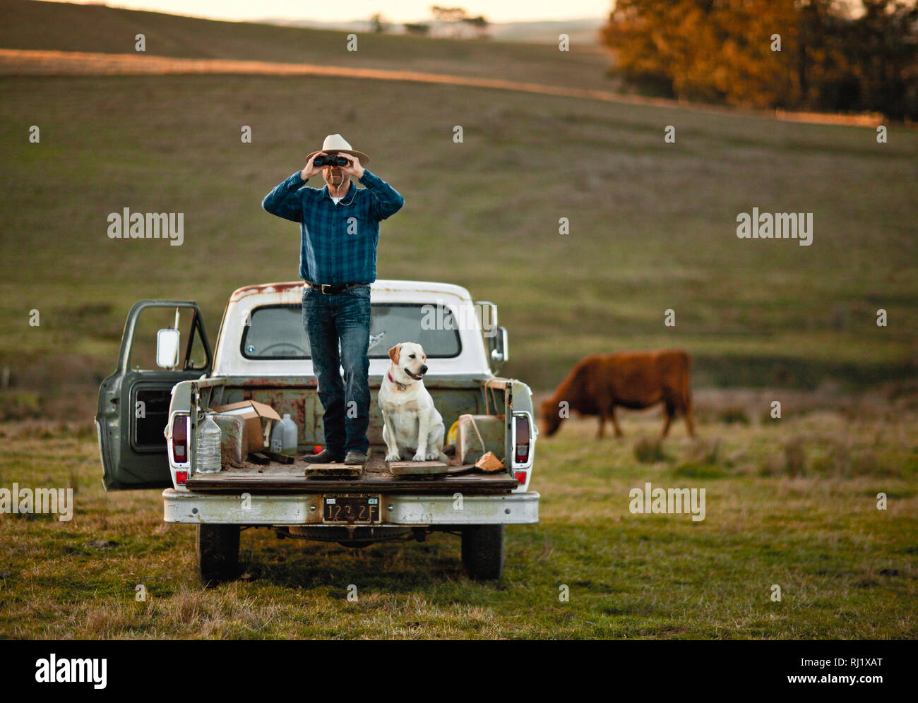 Farmer looking through binoculars on a paddock with his dog by his side. Stock Photo