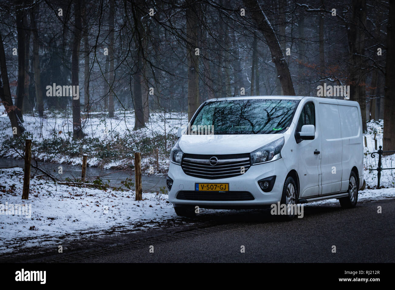 opel vivaro white