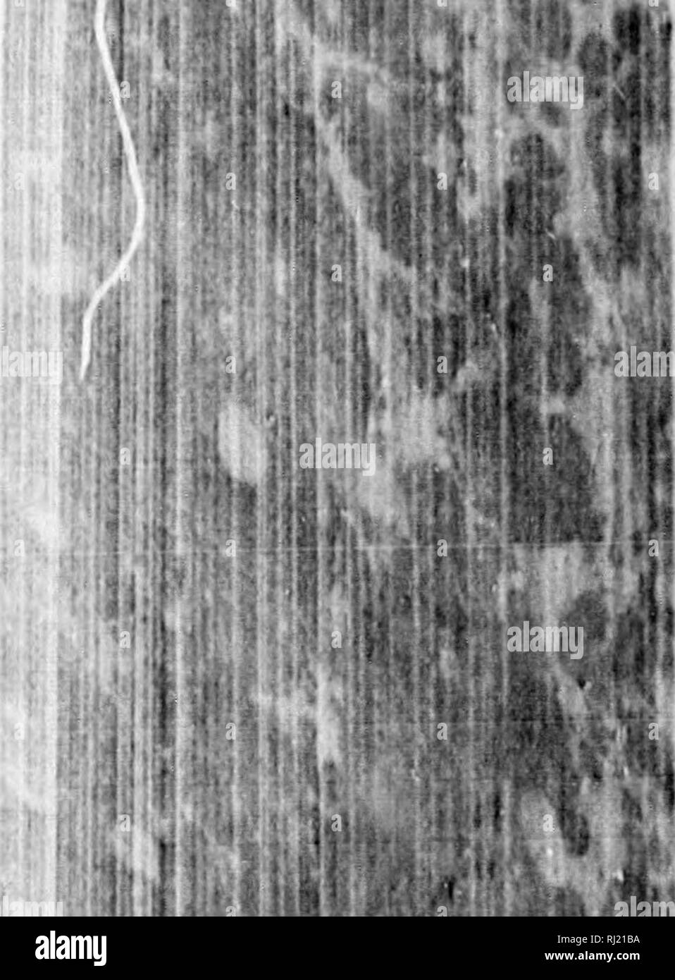 . Earth, sea and sky, or, Marvels of the universe [microform] : being a ...