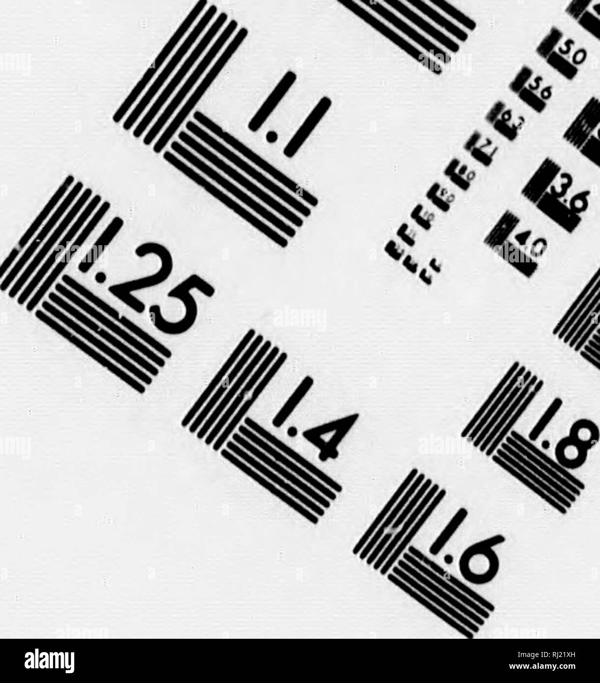 . Narrative of a journey to the shores of the Polar Sea, in the years 1819, 20, 21, and 22 [microform]. Scientific expeditions; ExpÃ©ditions scientifiques. IMAGE EVALUATION TEST TARGET (MT-3) /.. ^ &lt;^^, * s?f â ' 1.0 1.1 1.25 ISIli |2.S â 50 â ^ !!â â Iff â - 12.2 uo 111112.0 i 1.4 1.6 V] &lt;^ /^ 0^ .^ ^-A V ^. Please note that these images are extracted from scanned page images that may have been digitally enhanced for readability - coloration and appearance of these illustrations may not perfectly resemble the original work.. Franklin, John, Sir, 1786-1847. London : J. Murray Stock Photo