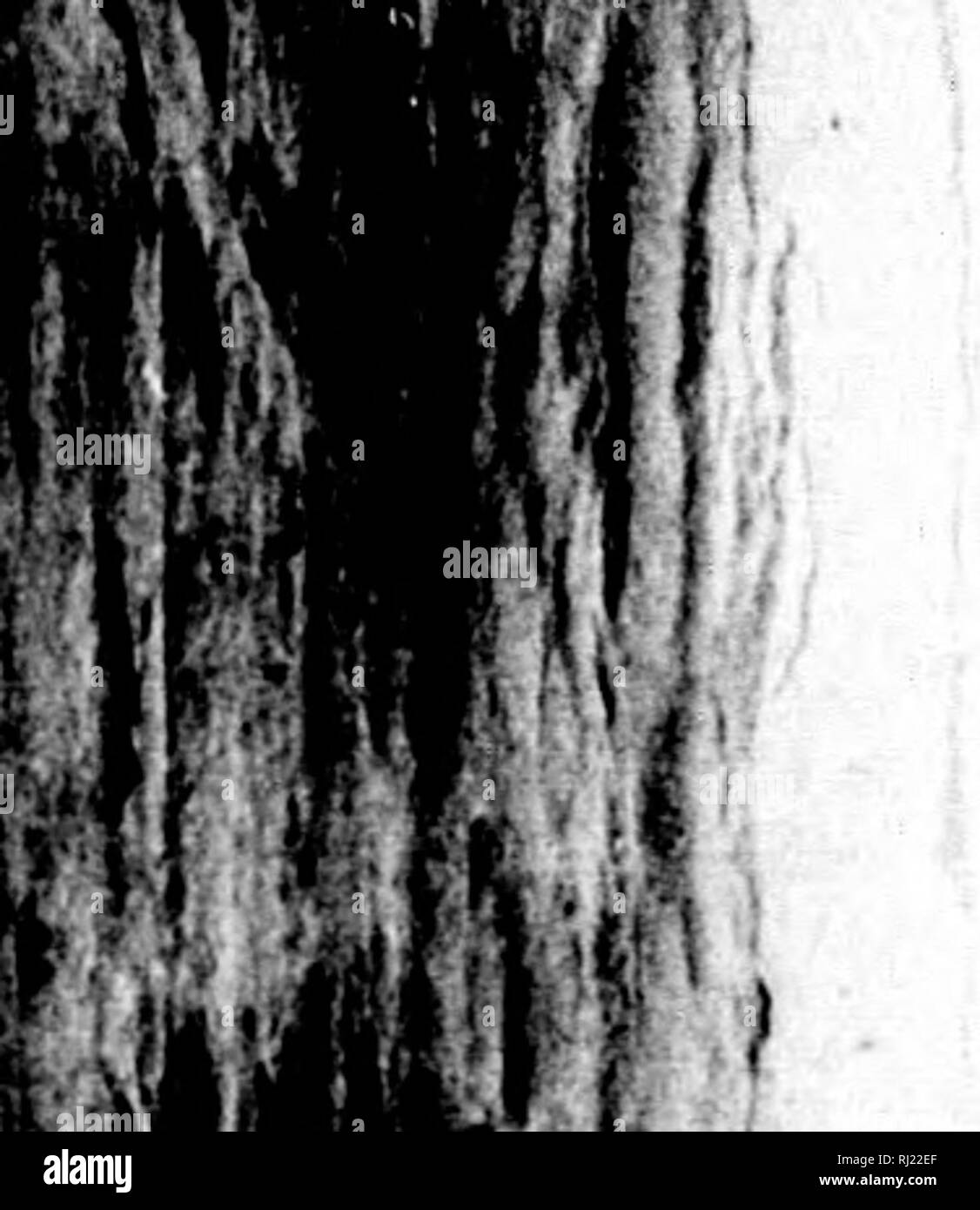 Van Zandt Black And White Stock Photos Images Alamy