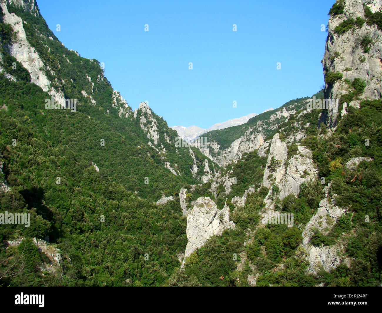 Enipeas Canyon in Olympus national park (northeastern Greece) Stock Photo