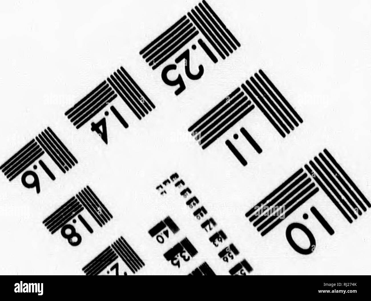 873 The High Resolution Stock Photography And Images Page 10 Alamy