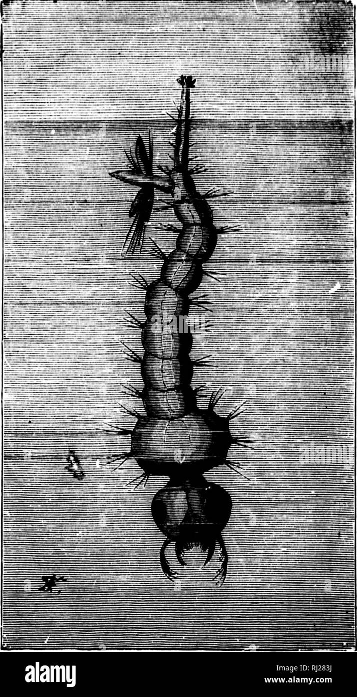 Twirling bat hi-res stock photography and images - Alamy