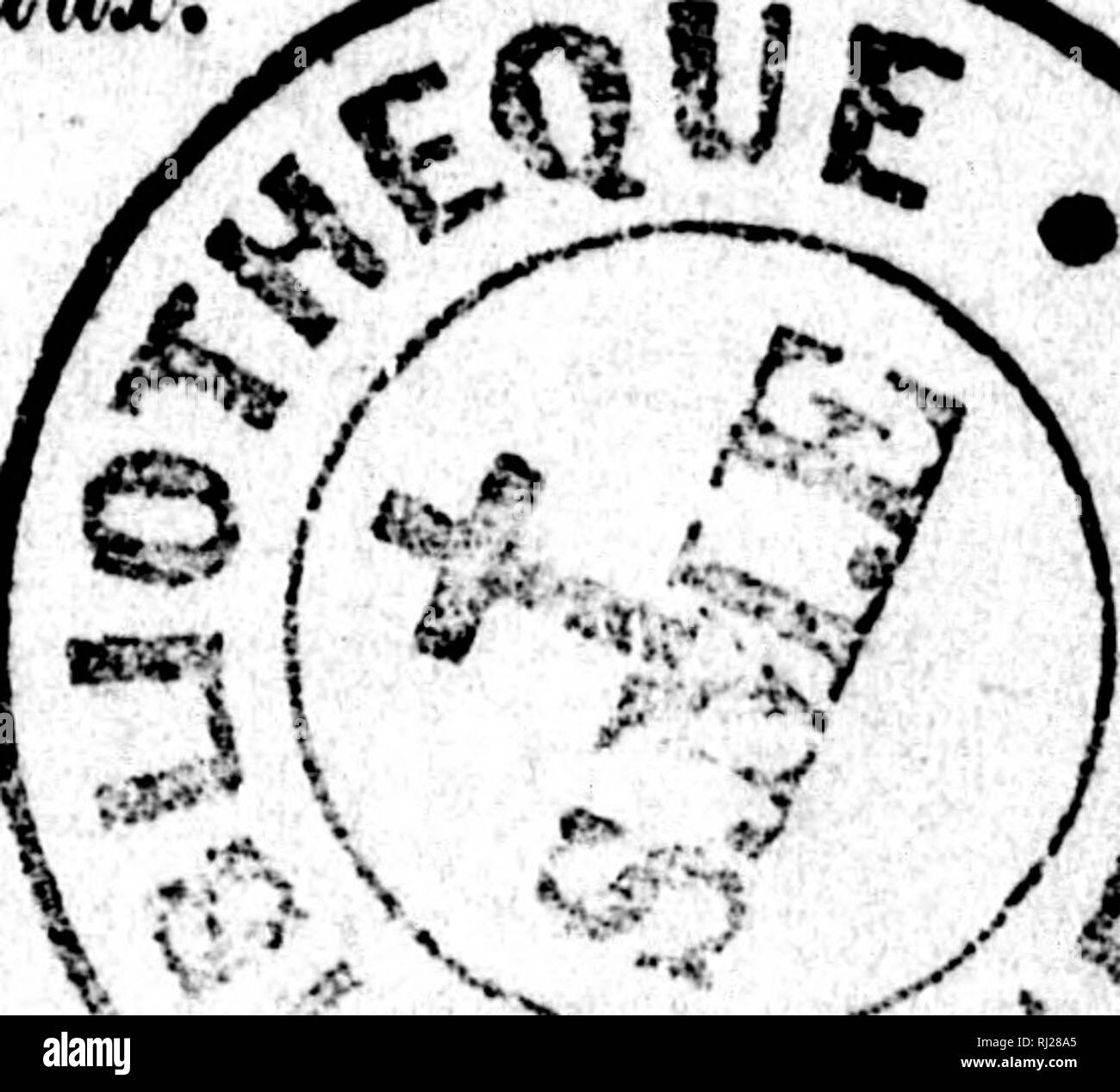 différente robe de chevaux