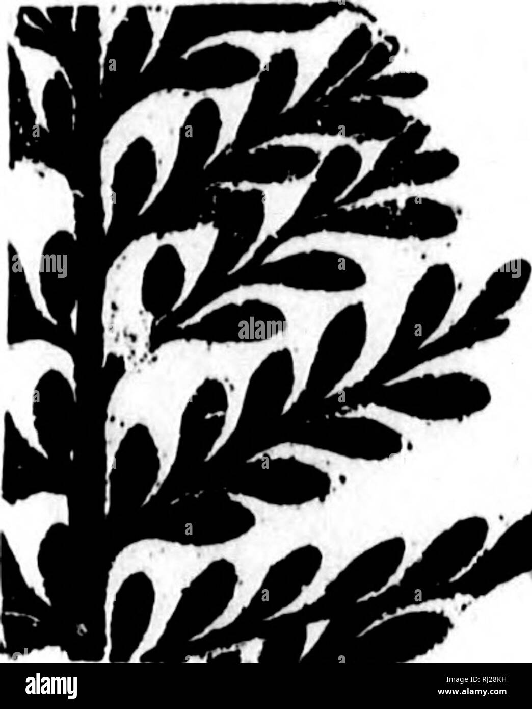 1878 geo hi-res stock photography and images - Alamy