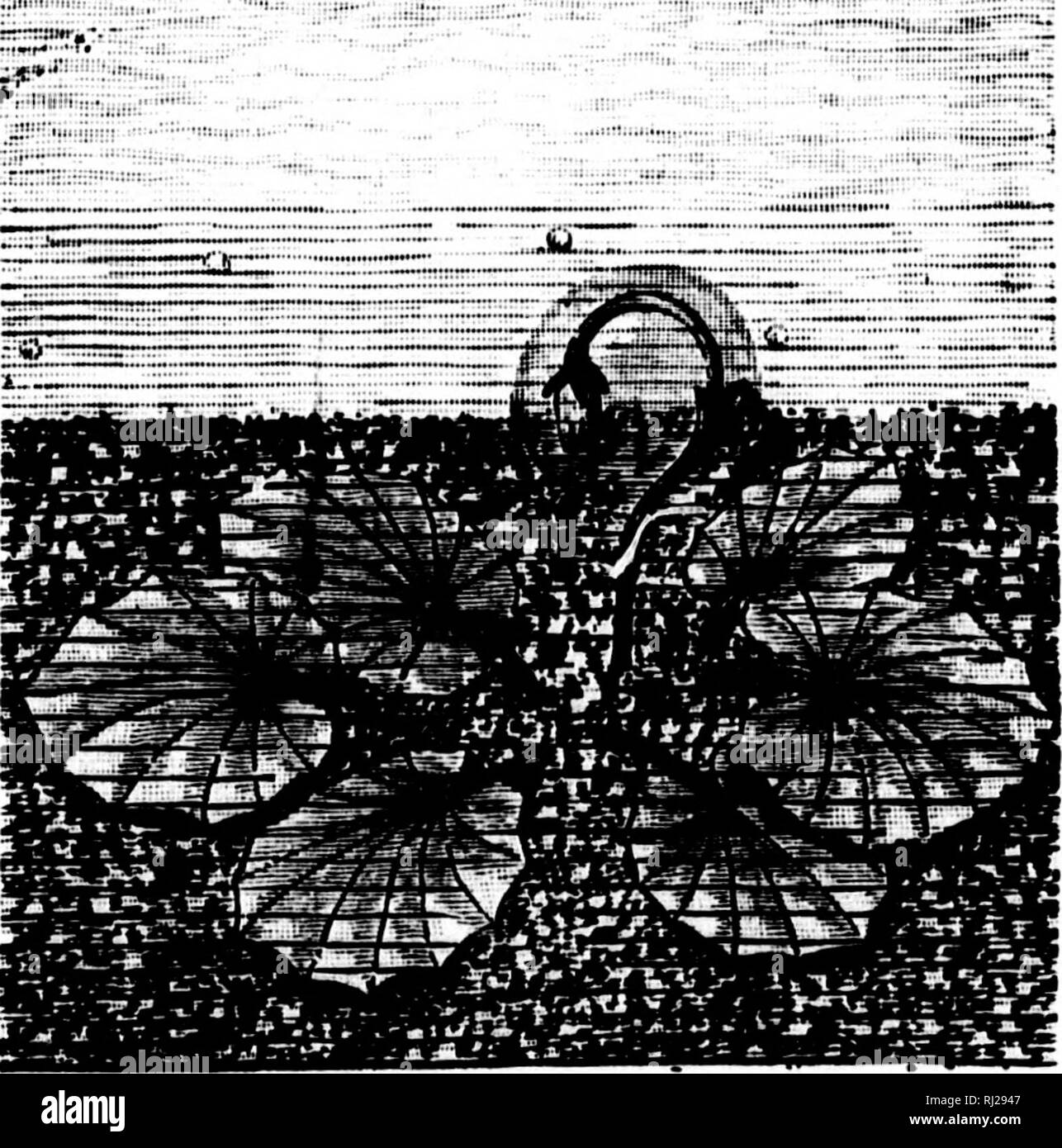 Flashlights On Nature Microform Insects Plants Insectes Plantes A Plant That Melts Ice 35 Iijiijiiiglltliillttlimwt N J Y A I Iiiiiull F Quot I Gt I I L I Ill Nt Iii A 111 1 Gt I