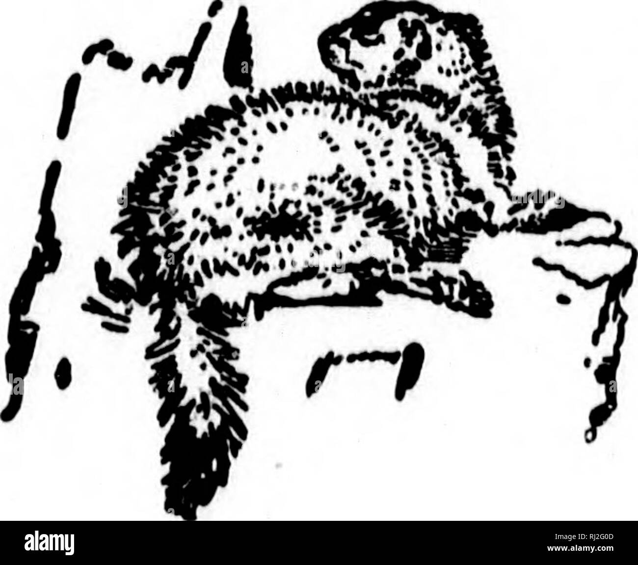 Utah Hunter Safety Targets