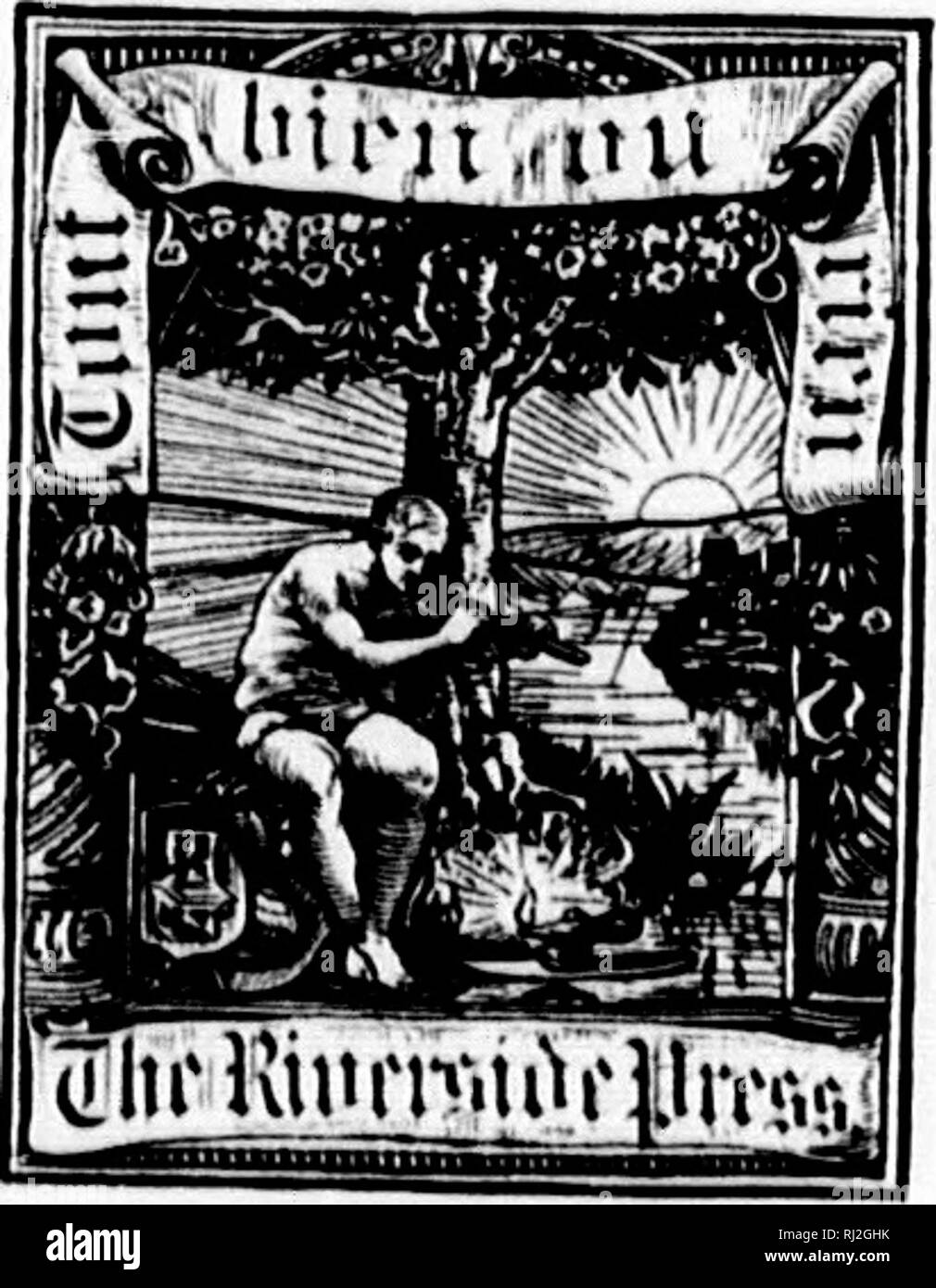 . The silva of North America [microform] : a description of the trees ...