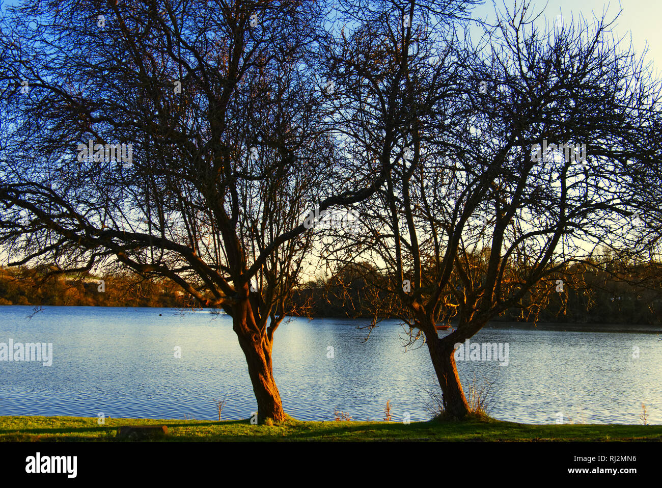 Full hf hi-res stock photography and images - Alamy