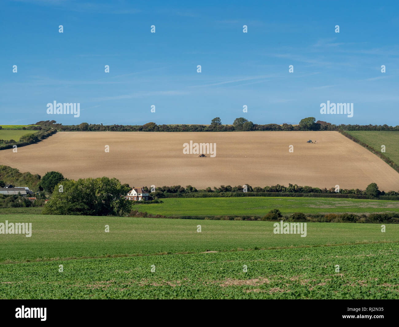 Two trackors working a golden field with farm house under a clear blue sky in UK Stock Photo