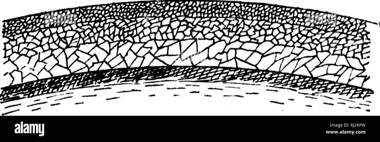 John macadam Black and White Stock Photos & Images Alamy