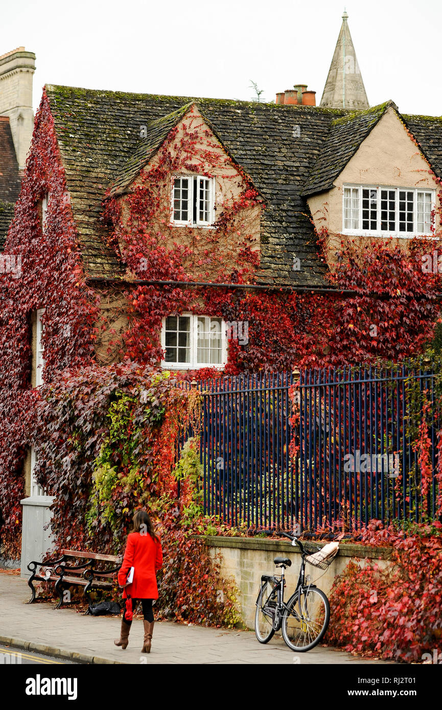 Trinity College, University of Oxford one of the oldest universities in the world. Historic