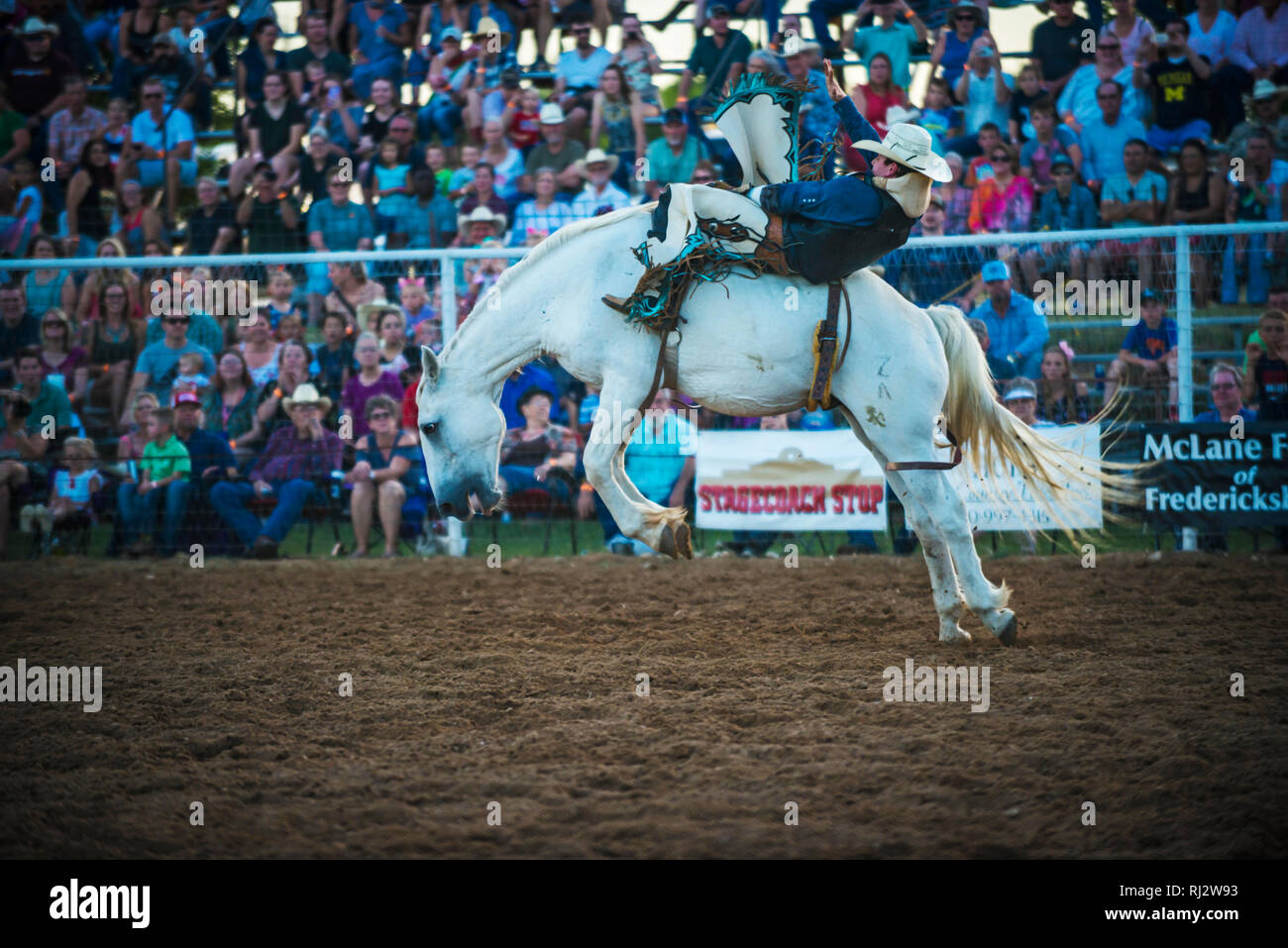 Rodeo cowboy bareback riding event. Texas, USA Stock Photo