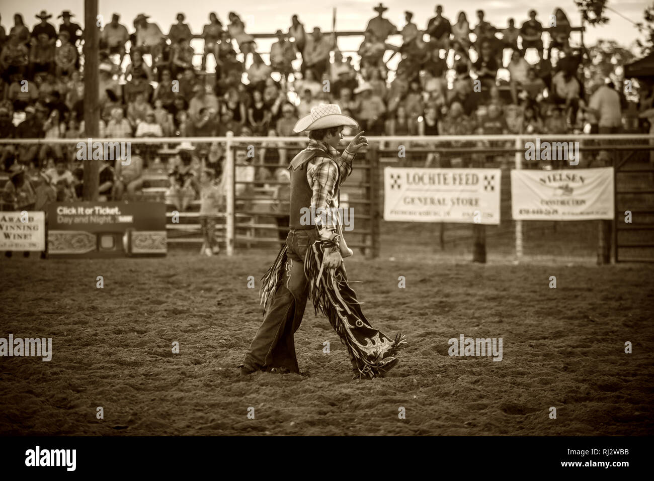 Cowboy bareback rider. Texas USA Stock Photo