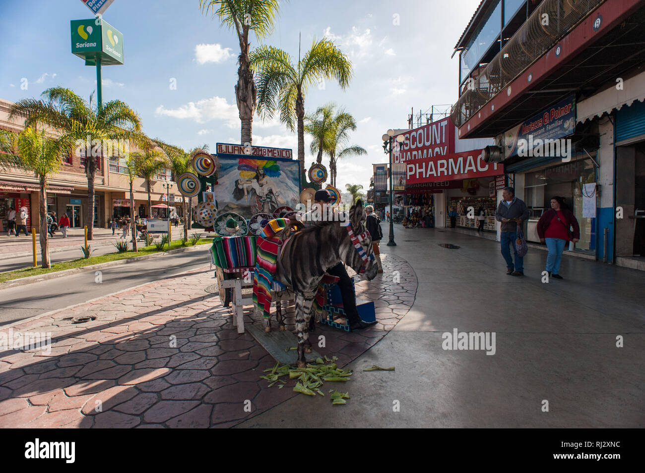Tijuana, Mexico: street scene. Stock Photo