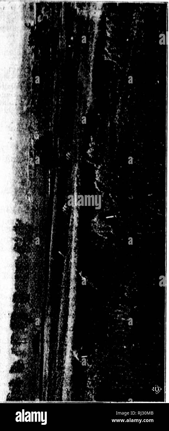 Page 2 Fiol High Resolution Stock Photography And Images Alamy