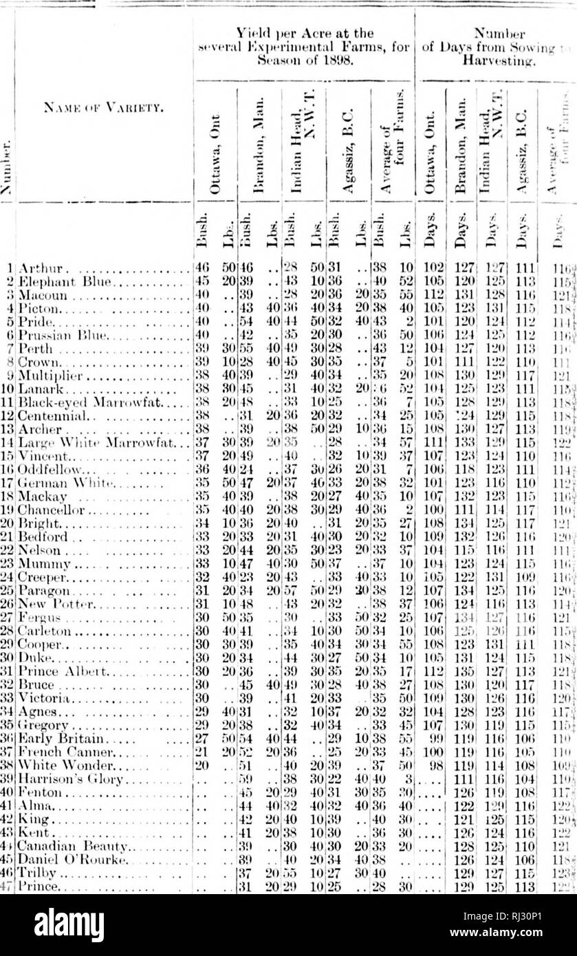 . Results obtained in 1898 from trial plots of grain, fodder corn, and roots [microform]. Field crops; Field experiments; Grain; Agriculture; Cultures de plein champ; Essais en plein champ; CÃ©rÃ©ales; Agriculture. It; Uniform Tkst Plots of Pkask. 1 ,1 . I'orrl â SA 2( nil :Â« 20 umv 83 10 â¢|ifr 32 40 Â»g'&gt;ii 31 20 â¢ I'ott.T 31 10 ;us . 30 .&quot;)( t'tdU 30 30 -11 ler 3 W'oiidrr 20 risciii ,â &lt; .,,..i..&quot;. â¢â¢ â¢â 51 . 40 20; 5!l . 38 30 45 20 21) 40' 44 40 32 40l 42 20 40 101 41 20 3S lOi. Please note that these images are extracted from scanned page images that may have been d Stock Photo