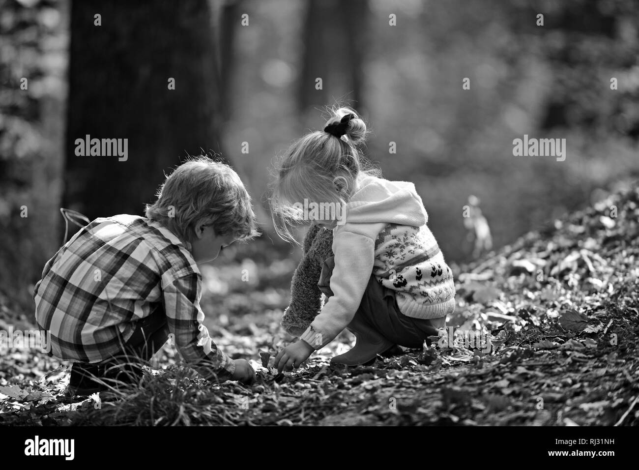Little boy and girl friends have fun on fresh air. Children pick acorns from oak trees. Brother and sister camping in autumn forest. Childhood and Stock Photo