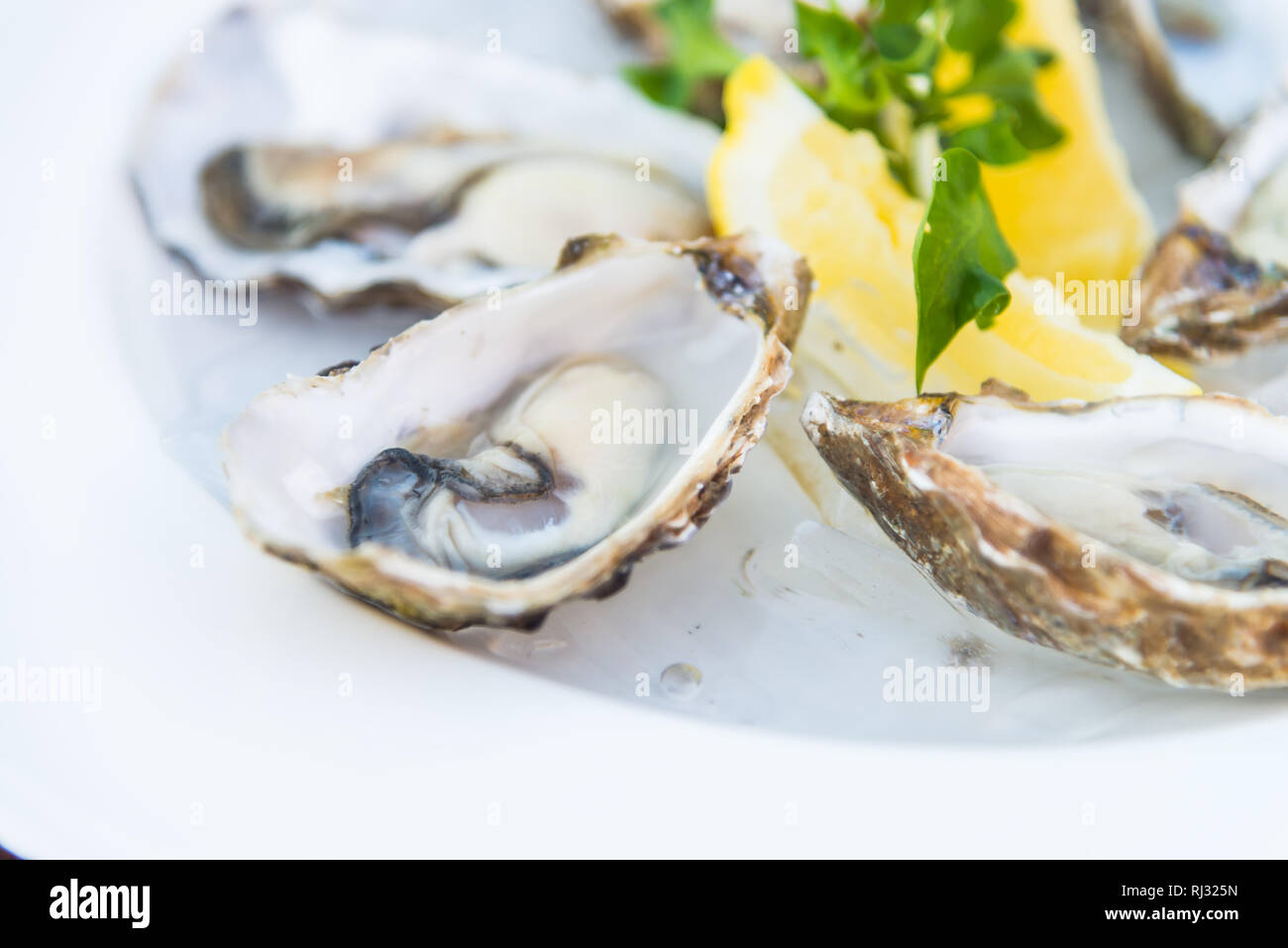 Selective focus point on fresh oysters shell with lemon Stock Photo