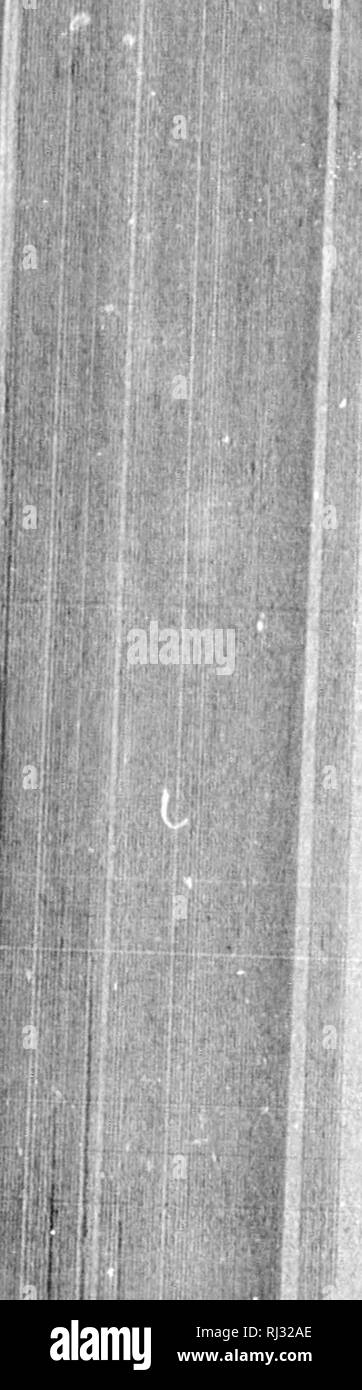 De 303 Stock Photos De 303 Stock Images Alamy