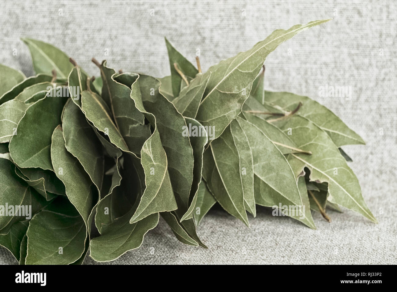 Bay leaf - feuille de laurier Stock Photo - Alamy